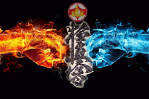 Контактный стиль каратэ