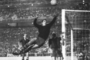 Арбосский голкипер