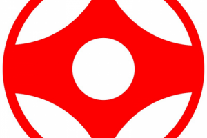 Особенности каратэ киокушинкай