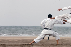 Каратэ в России