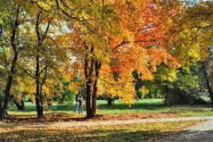 Ковыринский парк