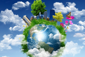 Как сэкономить на бытовой химии и при этом спасти природу