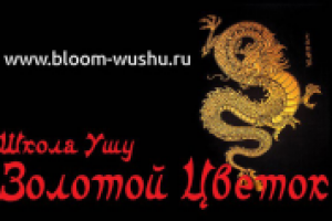 Школа Ушу «Золотой цветок» Воронеж