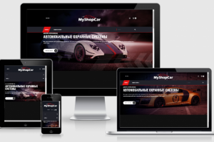 Интернет магазин автотоваров