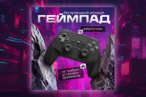 Инфографика Ozon для геймпада