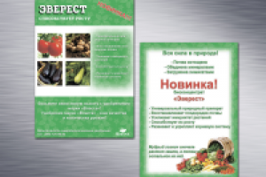 Листовка 2