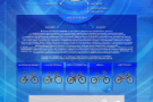 WINNER, сайт-визитка