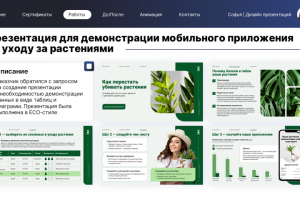 Презентация для демонстрации мобильного приложения