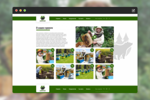 Сайт компании За мёдом