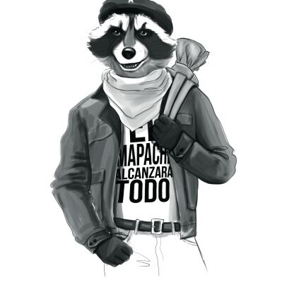 img4260608.png