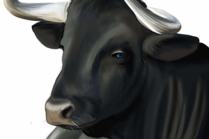 Работа 3875446