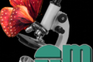 Логотип для сайта galsmed