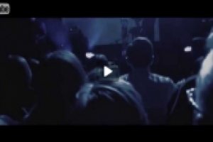 Дельфин | Dolphin - Земля (4K live clip)