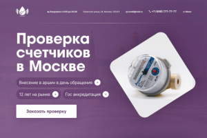 Дизайн сайта в нише "Проверка счетчиков в Москве"