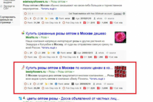 Розы оптом