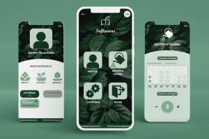 Мобильное приложение "InFlowers"