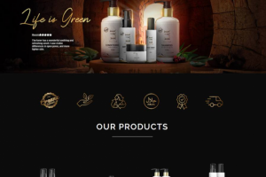 Разработка лендинга компании премиум косметики