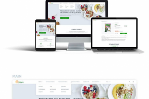 Разработка сайта интернет магазина правилього питаниян