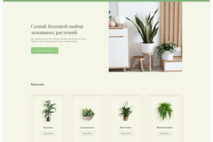 Интернет-магазин комнатных растений