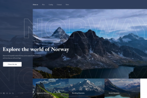 Концепт-дизайн