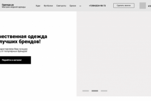 Одежда.ру(proto)