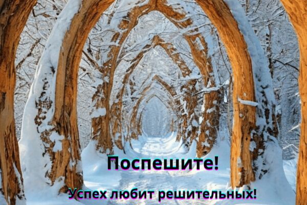 img4643766.png