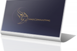 SinoConsulting