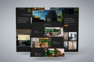 Дизайн сайта " Элитная недвижимость в Воронеже"