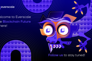 Ведение социальных сетей проекта EverScale