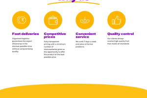 Работа из портфолио №1