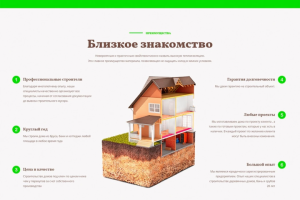 Работа из портфолио №2