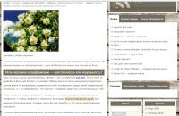 img2909739.png