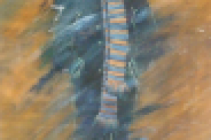 Работа 1460390