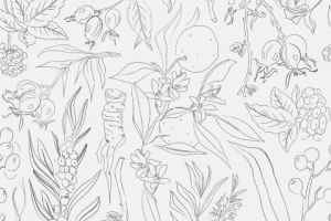 Ботанический паттерн