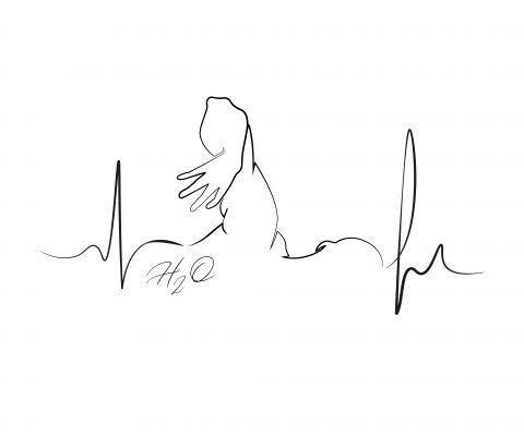 img4342501.png
