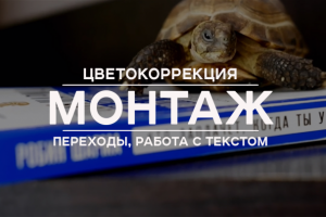 Цветокоррекция, «видео с текстом», переходы, монтаж