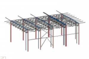 Веревочный парк. Фрагмент каркаса