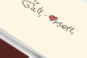 Gatti-Orsetti (лого приюта кошек в италии)