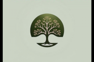 Минимальный линейный логотип