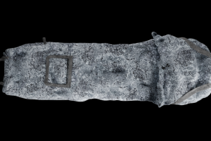 Спальный мешок/модуль для эвакуации