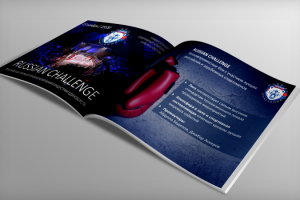 Презентация "под ключ" "ЛИГА ЕДИНОБОРСТВ"