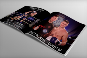 Презентация "под ключ" "ЛИГА ЕДИНОБОРСТВ"