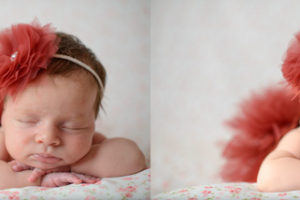 Работа 3337049