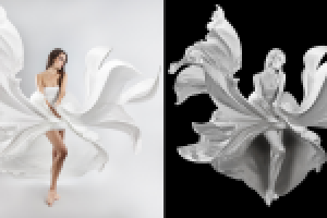 Работа 3009558