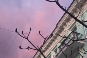 Видео города