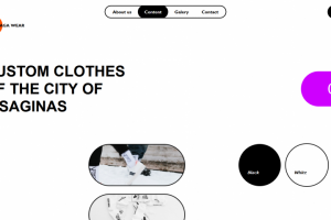 Создание веб-сайта для продажи товаров в сфере одежды