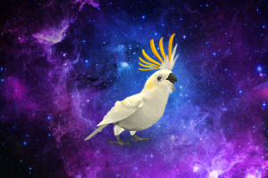 попугайчик