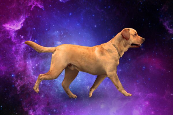 img3902667.png