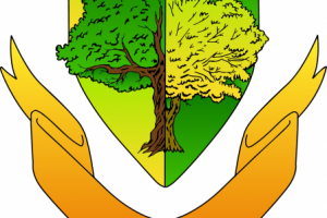 питомник деревьев