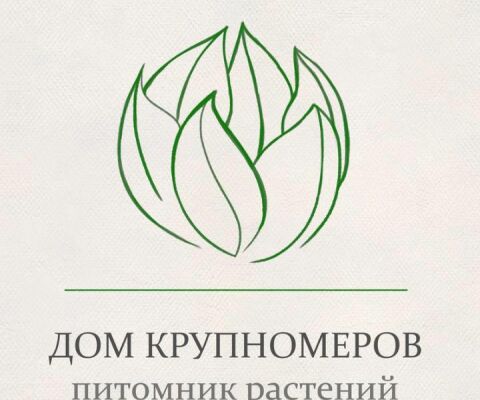 img3729841.png